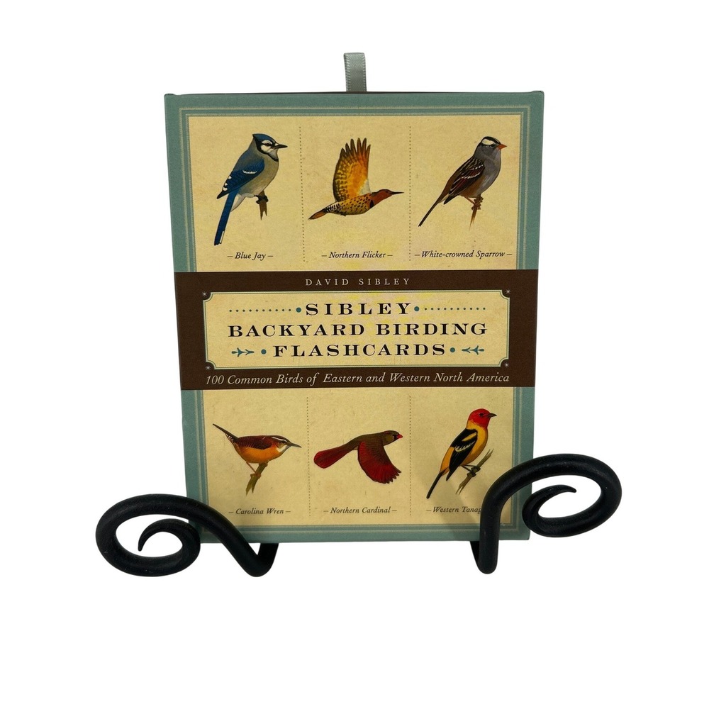 David Sibley Backyard Birding Flashcards 100 Common Birds North America Set